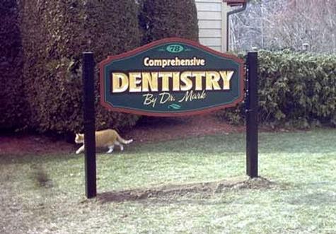 Dentistry by Dr. Mark
